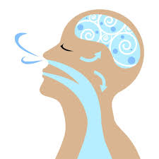 Anxiety and Learning | Raise the Bar Psychology
